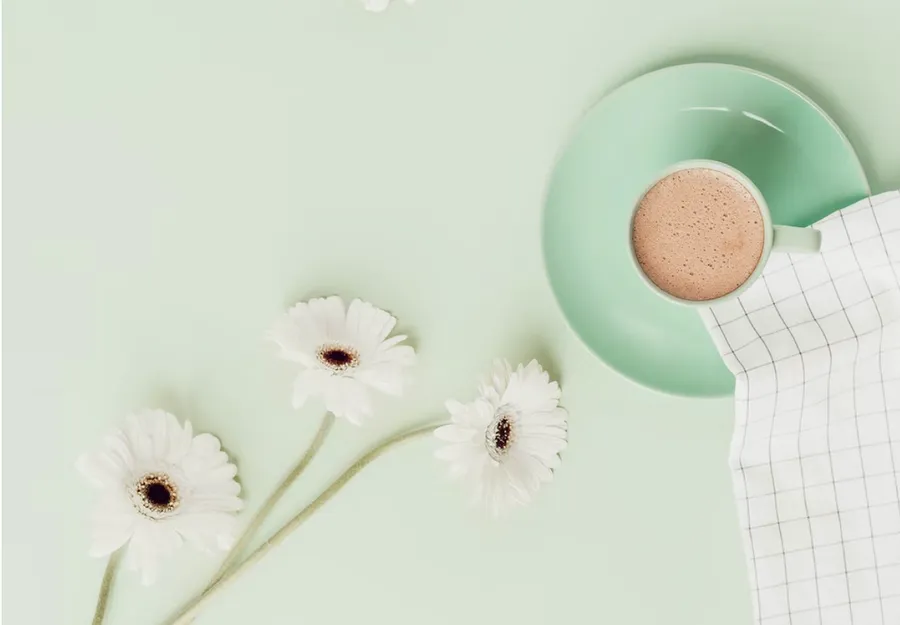 ELIZA, ELIZA, ELIZA Une Histoire De BOT !